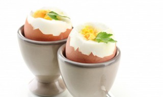 蒸蛋器蒸蛋要多久（蒸箱里蒸鸡蛋要几分钟）