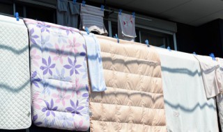 蚕丝被怎么洗涤和保养方法 蚕丝被怎么洗涤和保养方法视频