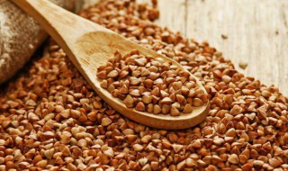 荞麦热量(荞麦可以减肥吗)