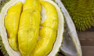 榴莲不熟肉都扒出来了怎么办 榴莲不熟肉都扒出来了怎么办吃了不熟的榴莲有事吗