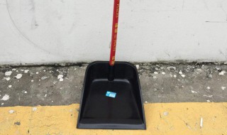 铲垃圾的工具叫什么（铲垃圾的工具叫什么普通话怎么说）