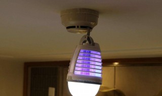 物理灭蚊灯有效果吗 物理灭蚊灯有效果吗视频