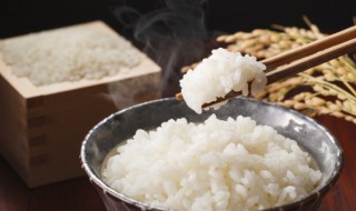 焖米饭水和米的比例（蒸米饭水和米的比例用手指怎么量）