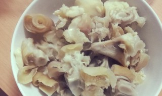 新鲜牛蹄筋怎么处理(新鲜牛蹄筋怎么处理干净)