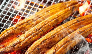 鳗鱼怎么读（卐怎么读）