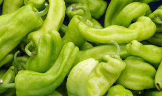腌青辣椒怎么腌 青辣椒怎样腌制好吃