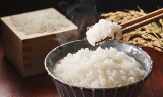 一碗饭的热量（一碗饭的热量要走多久）