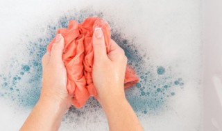 沾鼠板上的胶弄啥能洗掉 粘鼠板上的胶怎么去除?