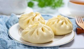 大白菜素包子的做法 大白菜素包子的做法大全