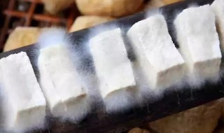 毛豆腐的家常做法（毛豆腐的家常做法火锅）