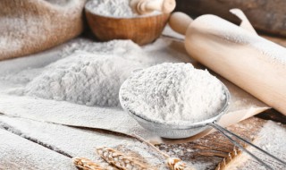 面粉与淀粉的区别是什么（面粉与淀粉的区别是什么呢）