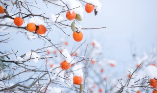 冬至有什么说法 冬至有什么说法吗能洗衣服吗能洗被子吗