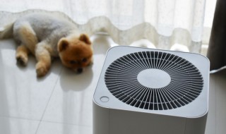 空气格是什么东西 空气格什么意思