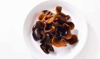 木耳泡多长时间可以吃 木耳泡多长时间可以吃?