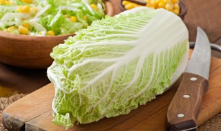 菜汤的做法大全 菜谱大全之100道家常菜谱