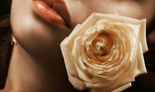 白色的玫瑰花代表着什么意思(白色的玫瑰花是代表什么意思)
