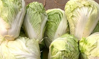 拿着卖白菜的钱顺口溜（拿着卖白菜的钱操心）