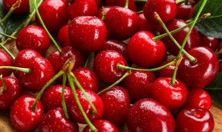 安徽阜阳特产（安徽阜阳特产排名前十名）