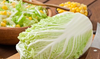 大白菜热量（大白菜热量高不高）