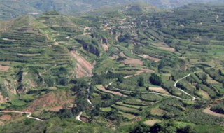 崤山怎么读（觞觥觚斛怎么读）