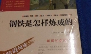 钢铁是怎样炼成的读后感200字 钢铁是怎样炼成的读后感200字10篇