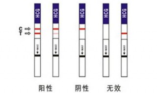 试纸怎么用（试纸怎么用的步骤）