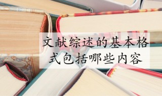 文献综述格式（文献综述格式字体大小）