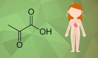 丙酮酸化学式 丙酮酸的化学元素