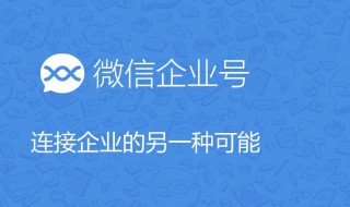 微信企业号功能介绍（微信企业号功能介绍怎么写）