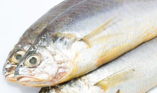 鱼煮多久就熟了（鱼煮多久熟透）