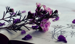 定量和定性的区别（定量分析和定性分析）