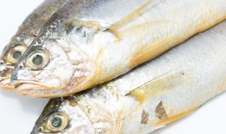 蒸鱼冷水下锅还是热水下锅 蒸鱼冷水下锅还是热水下锅好吃