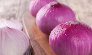 白洋葱和紫洋葱的区别(白洋葱的功效与作用)