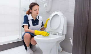 马桶塞子怎么用 打气的马桶塞子怎么用