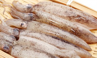 鱿鱼属于海鲜吗（铁板鱿鱼属于海鲜吗）