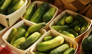 腌黄瓜咋腌好吃又脆（腌黄瓜咋腌好吃又脆视频）