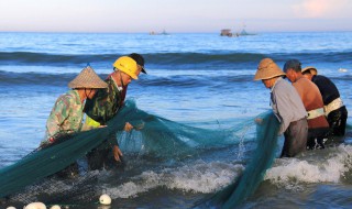 金鲳鱼是海鱼还是淡水鱼 金鲳鱼怎么做好吃