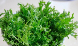 苦菊的做法大全家常做法（苦菊的做法家常菜）