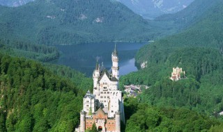 柏林怎么读（柏树）