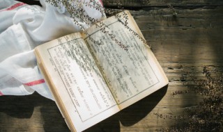 蜚蠊怎么读 孓孑孓孒怎么读