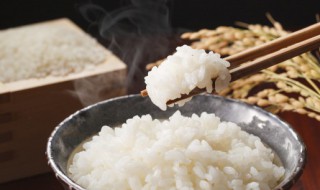 没有电饭锅怎么蒸米饭（美的电饭锅怎么蒸米饭）