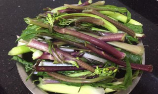 红菜苔做法 红菜苔做法视频