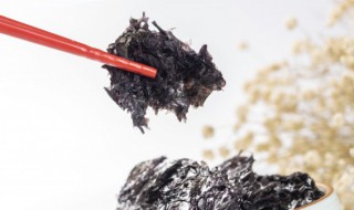 紫菜煲的做法 紫菜煲的做法大全家常窍门