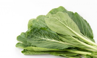 腌芥菜的做法 怎样拌芥菜丝咸菜的做法