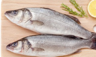 清蒸鲈鱼怎么蒸 清蒸鲈鱼怎么蒸好吃视频