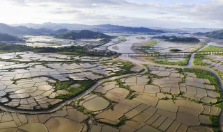 乐清怎么读 浙江乐清怎么读