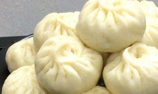 白菜猪肉馅包子的做法（鲜肉白菜包子馅的做法窍门）