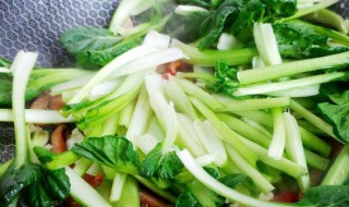 乌塌菜的做法 乌塌菜的功效与作用