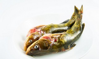 嘎鱼做法 嘎鱼做法家常做法