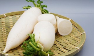 萝卜鱼汤的做法 萝卜鱼汤的功效与作用